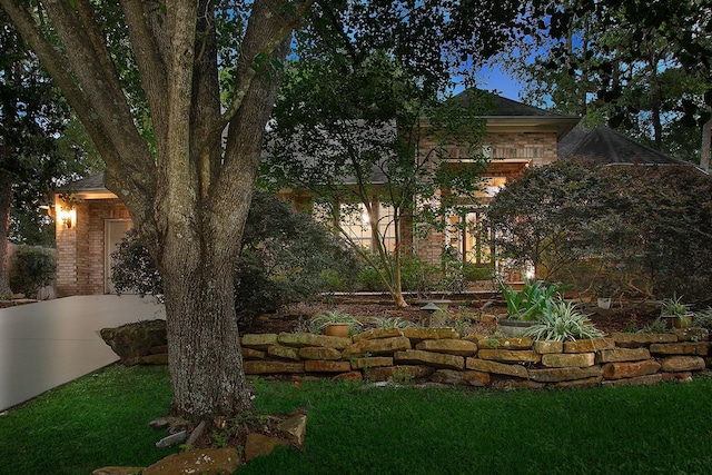 87 S Bluff Creek Cir, The Woodlands, TX 77382 - view of yard with driveway