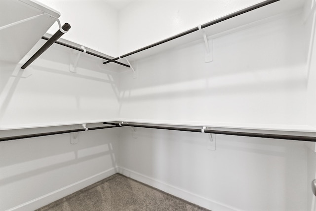 19331 Wild Sabino Way, Tomball, TX 77377 - spacious closet with carpet flooring
