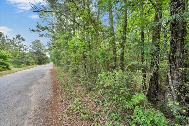 399 Pool Rd, Richards, TX 77873 - photo 16