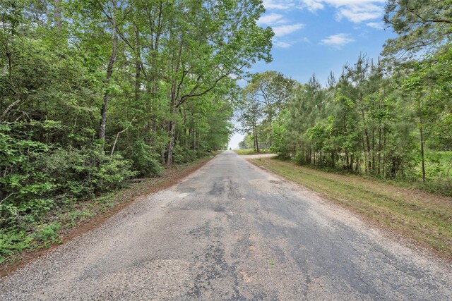 399 Pool Rd, Richards, TX 77873 - photo 17