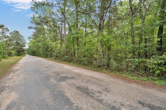 399 Pool Rd, Richards, TX 77873 - photo 18