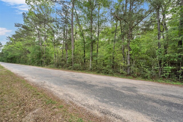 399 Pool Rd, Richards, TX 77873 - photo 15