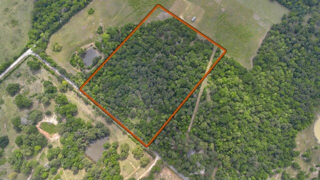 399 Pool Rd, Richards, TX 77873 - photo 3