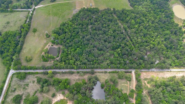 399 Pool Rd, Richards, TX 77873 - photo 4