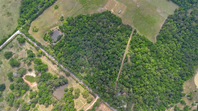 399 Pool Rd, Richards, TX 77873 - photo 9
