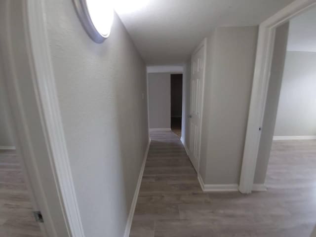 8100 Creekbend Dr Unit 135, Houston, TX 77071 - corridor featuring baseboards and light wood-style floors