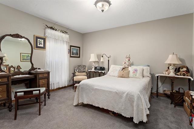 527 E Walton Rd, Lumberton, TX 77657 - view of carpeted bedroom