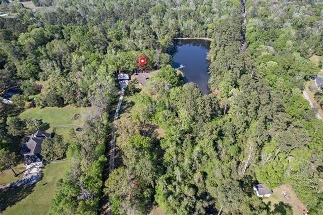 527 E Walton Rd, Lumberton, TX 77657 - aerial view of property and surrounding area featuring a heavily wooded area and a large body of water
