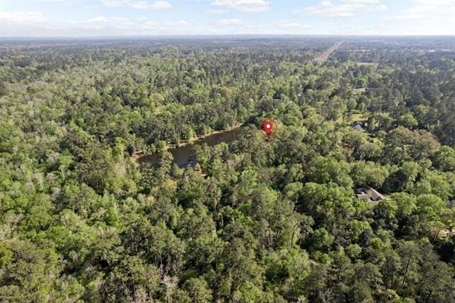 527 E Walton Rd, Lumberton, TX 77657 - view of property location featuring a forest