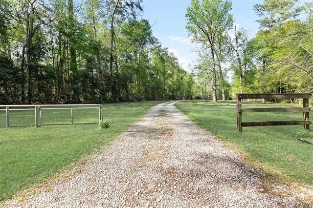 527 E Walton Rd, Lumberton, TX 77657 - view of street with a forest view
