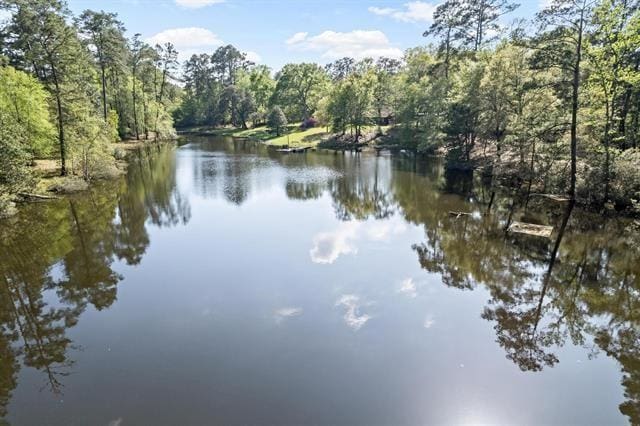 527 E Walton Rd, Lumberton, TX 77657 - water view featuring a forest