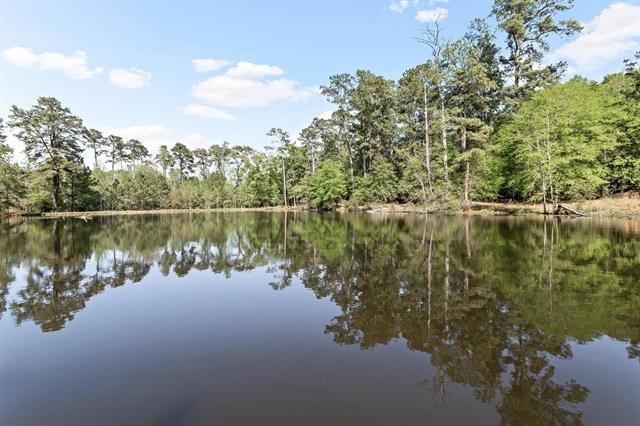 527 E Walton Rd, Lumberton, TX 77657 - water view featuring a forest