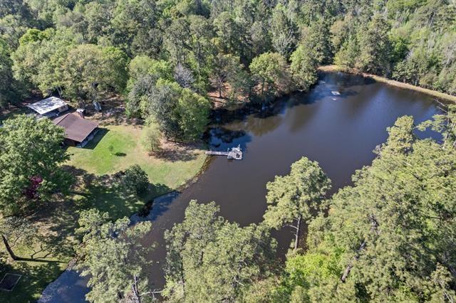 527 E Walton Rd, Lumberton, TX 77657 - view of property location with a forest and a nearby body of water