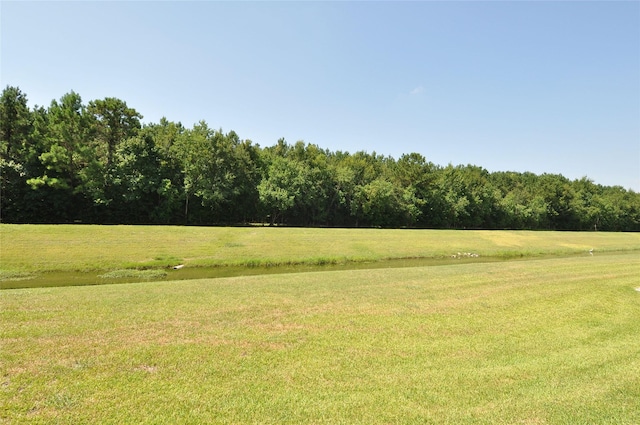 15818 Tremout Hollow Ln, Houston, TX 77044 - view of green lawn