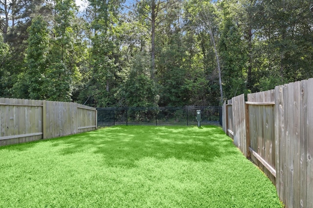 255 S Spotted Fern Dr, Montgomery, TX 77316 - view of yard