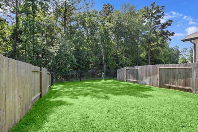 255 S Spotted Fern Dr, Montgomery, TX 77316 - view of yard
