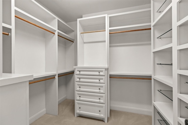 6635 Wanita Pl Unit B, Houston, TX 77007 - walk in closet featuring light colored carpet