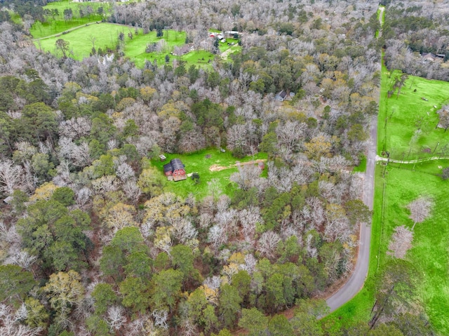 17868 Dogwood Dr, Conroe, TX 77303 - photo 33