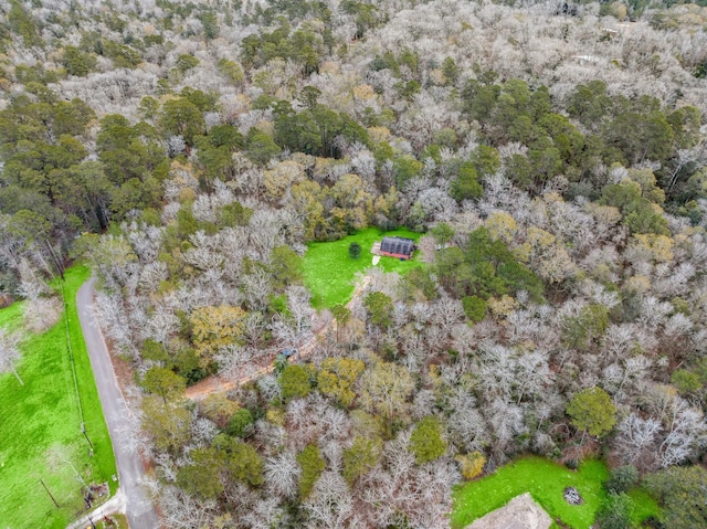 17868 Dogwood Dr, Conroe, TX 77303 - photo 42