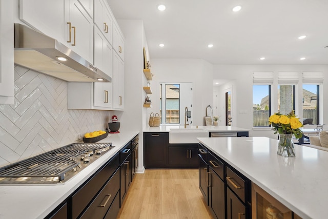 30246 Gold Finch Pl, Fulshear, TX 77441 - kitchen featuring under cabinet range hood, a sink, white cabinetry, light countertops, and recessed lighting