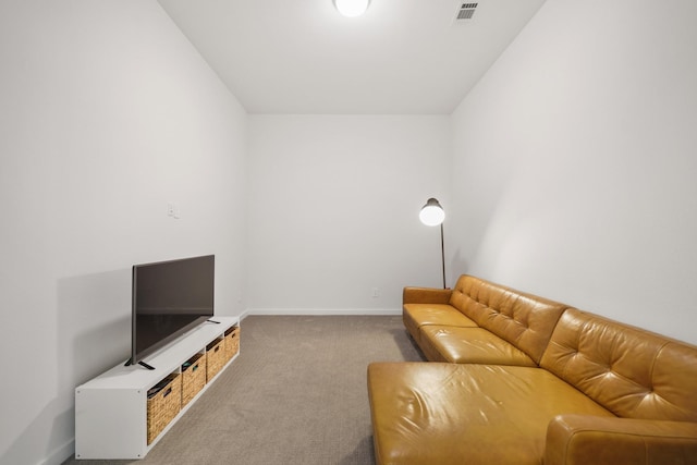 30246 Gold Finch Pl, Fulshear, TX 77441 - living area with carpet and baseboards