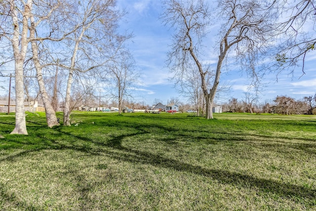 1316 Bailey St, Wharton, TX 77488 - view of green lawn