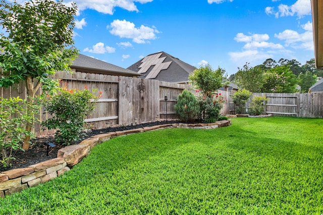 510 Blossom Cove Ct, Pinehurst, TX 77362 - view of yard