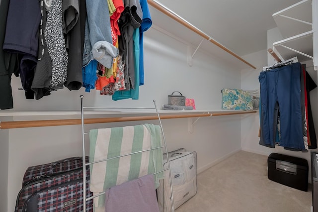 4106 Alice Dr, Sugar Land, TX 77478 - walk in closet with carpet flooring