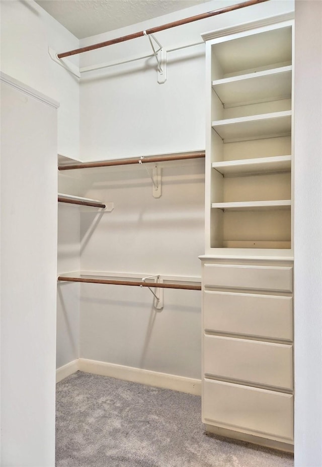 9923 Eden Valley Dr, Spring, TX 77379 - spacious closet with carpet floors