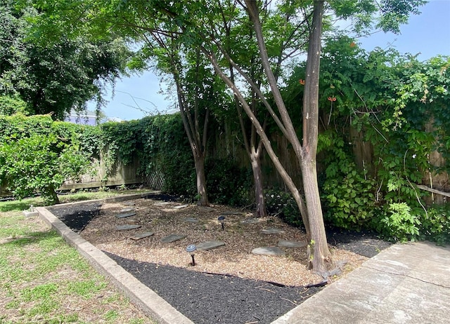 2012 Avenue N 1/2 Ave N 1/2, Galveston, TX 77550 - view of yard