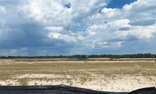 24706 Harrow Meadow Dr, Katy, TX 77493 - view of yard with a rural view