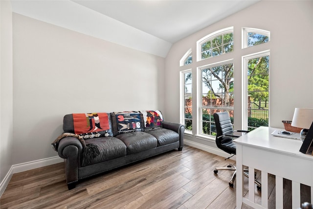 20123 Everhart Springs Ln, Cypress, TX 77433 - office space with wood finished floors, baseboards, and lofted ceiling