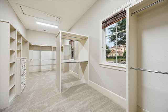 3110 Noble Lakes Ln, Houston, TX 77082 - walk in closet featuring carpet floors and attic access