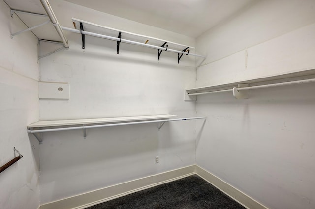 1016 Louise St, Houston, TX 77009 - view of walk in closet