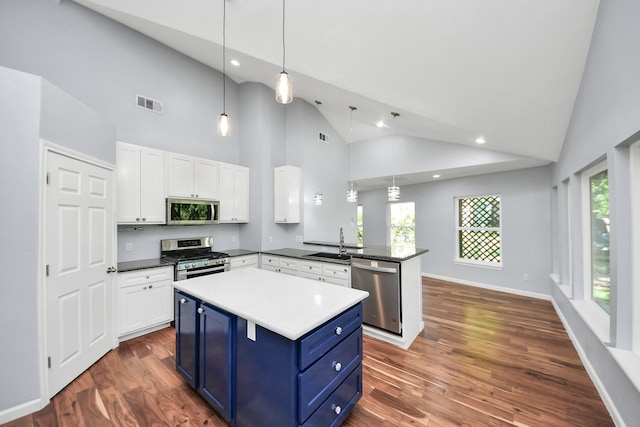 5103 Diamond Springs Dr, Missouri City, TX 77459 - kitchen with appliances with stainless steel finishes, blue cabinets, a sink, high vaulted ceiling, and white cabinetry
