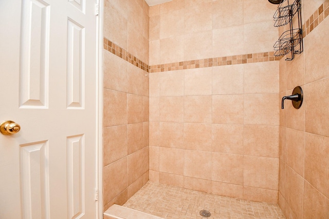 11707 Turtle Lake Dr, Houston, TX 77064 - full bathroom with tiled shower