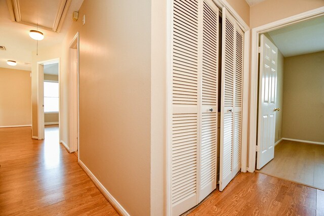 11707 Turtle Lake Dr, Houston, TX 77064 - hallway with attic access, light wood finished floors, and baseboards