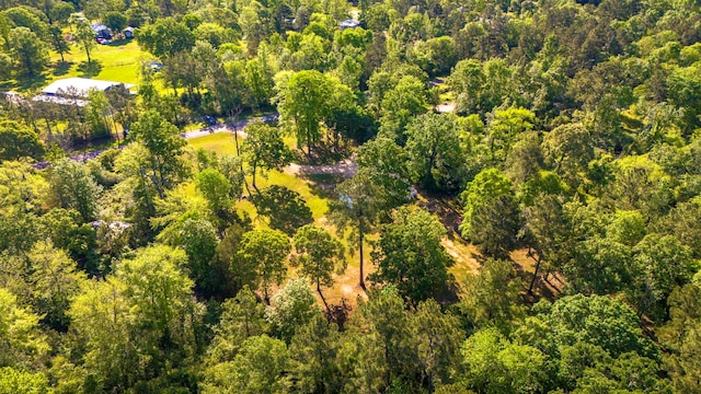 60 W Sierra Rd, Coldspring, TX 77331 - drone / aerial view of a heavily wooded area