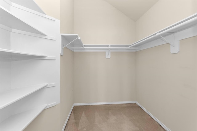 16503 Brightling Ln, Houston, TX 77090 - spacious closet with carpet flooring