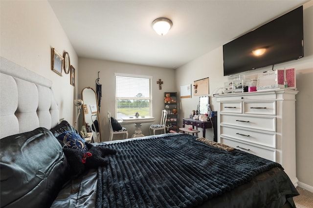 6303 Lemon Balm Ln, Crosby, TX 77532 - bedroom featuring carpet floors and baseboards