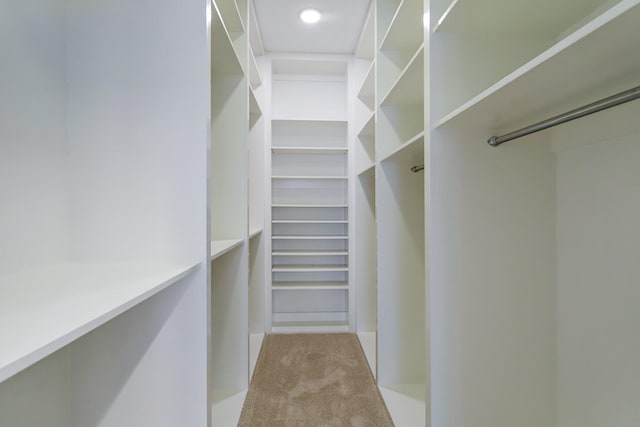 2356 Commerce, Houston, TX 77003 - walk in closet with carpet flooring