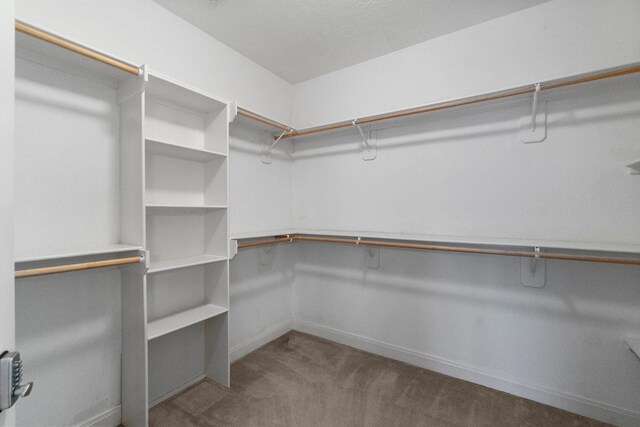 13003 Point Aquarius Blvd, Willis, TX 77318 - photo 21
