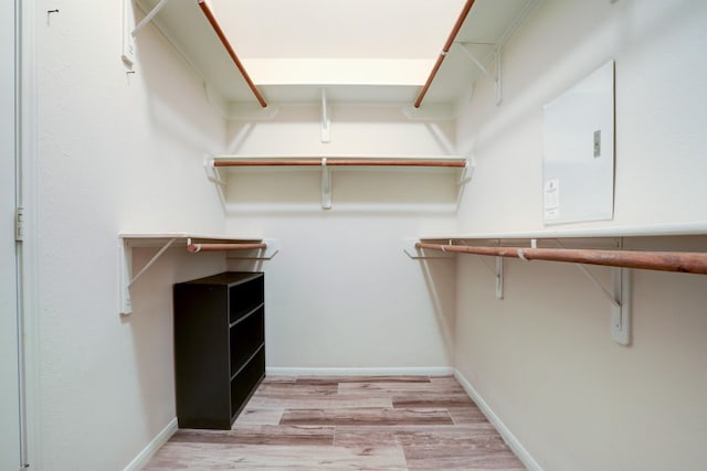431 Cardinal Oaks, League City, TX 77565 - walk in closet with light wood-type flooring