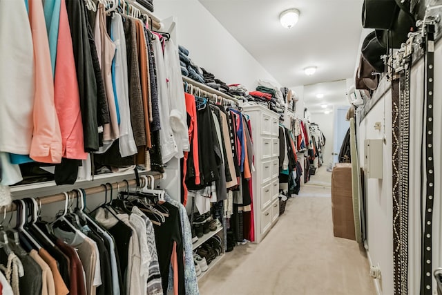 8410 Atascocita Lake Way, Humble, TX 77346 - walk in closet with light colored carpet