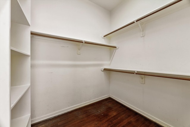 10707 Mandavilla Dr, Houston, TX 77095 - spacious closet with dark wood finished floors