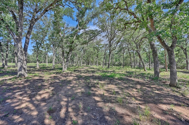 1876 County Road 109, Caldwell, TX 77836