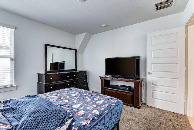 31611 Farlam Farms Trl, Fulshear, TX 77441 - carpeted bedroom with multiple windows