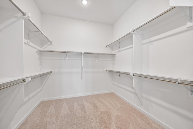 510 Rita Blanca Dr, Webster, TX 77598 - walk in closet with carpet floors