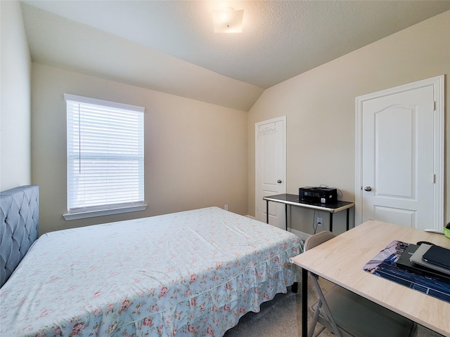 3430 Hughes Meadow Way, Richmond, TX 77406 - bedroom with lofted ceiling and carpet floors