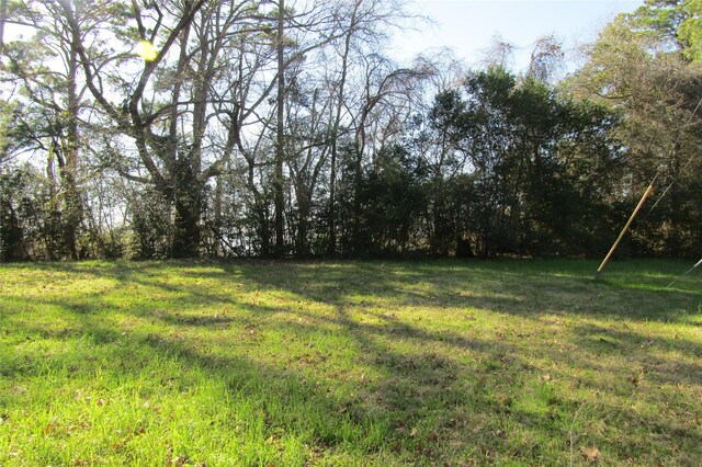 TBD0 Chain Rd, Livingston, TX 77351